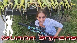 Iguana Snipers with the Single Shot Kills