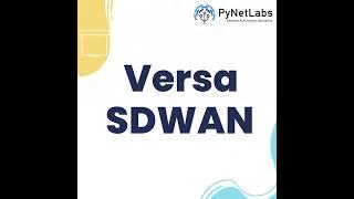 Versa SD-WAN Training at PyNet Labs #shorts #shortvideo #pynetlabs #versasdwan