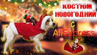 Xmas BUY или DIY / Повторяю Очень Смешной Новогодний Костюм с AliExpress 