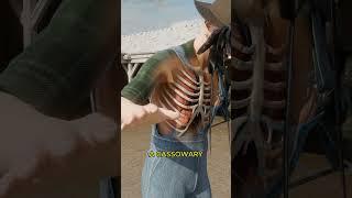 Horse Kick vs Cassowary Kick 