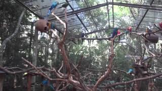 Inside a giant bird cage