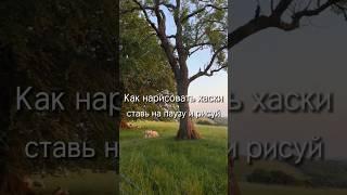 Как нарисовать собаку хаски. #рекомендации #рисунок #nature #природа #хаски