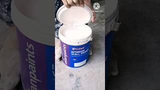 TruCare INTERIOR WALL PRIMER Asian Paints #shorts #viral #painting #art #wallpaint #design #work