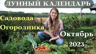 Лунный Календарь СадоводаОгородника на Октябрь┃#сад #календарь #2023 #фаза #луна #огород #октябрь