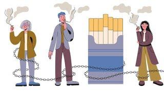 Smoking effects on our body