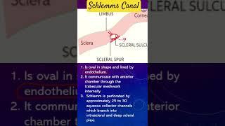 What is Schlemms Canal? #biology #education #ophthalmology