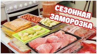 СЕЗОННАЯ Заморозка На ЗИМУ. НАБИВАЮ МОРОЗИЛКУ