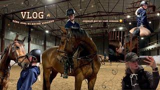 VLOG  Один день из жизни конника Тренировка на новой лошади 🫢#конюшня #vlog #horses #equestrian