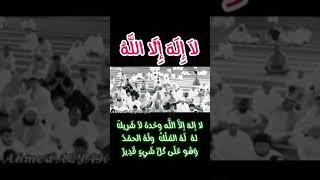 لا اله الا الله قصر طريق للجنة.. هل تعرفه؟ #طريق_الجنة #زاد_الروح #قصص_هادفة #حكم_ومواعظ
