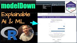modelDown: Automate Explainable AI & ML in R