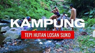 KEHIDUPAN DI PEDESAAN KAMPUNG TEPI HUTAN MAHONI | MENGUPAS MISTIS HUTAN  LOSAN SUKO