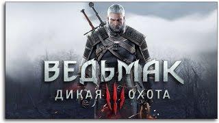 Ведьмак 3: Дикая Охота - ПЕРВЫЙ ВЗГЛЯД! ( The Witcher 3: Wild Hunt )