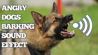 Dog Barking | Dog Barking Sound Effect | Kutte Ki Awaaz