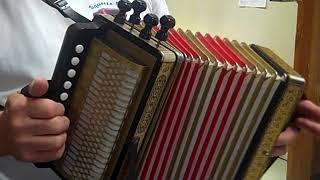 Gary Gale demonstrates the Hohner 4-stop accordion