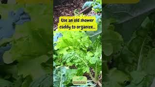 AGrowCulture Garden Tips