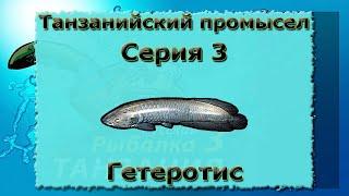 Русская Рыбалка 3.99 (Russian Fishing) Танзанийский промысел 3 - Гетеротис