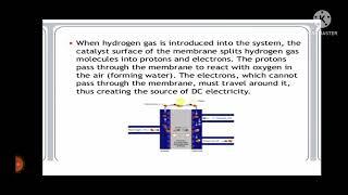 FUELcell