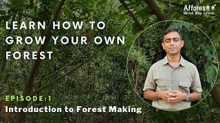 Ch:1 | Introduction to Forest Creation Series | Forest Creation Tutorials | English