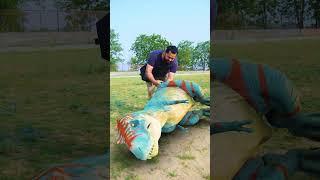 T-Rex Dinosaur cured by doctor in Jurassic World | Dinosaur Point