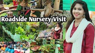 Road Side Nursery visit, Bhubaneswar | Bhubaneswar nursery tour by Lipsha world