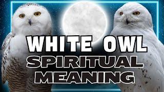 Why Seeing a White Owl Can Change Your Life: Spiritual Meaning and Symbolism Explained