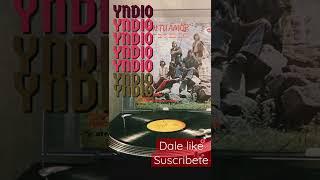 Grupo yndio vinyl grupero