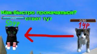 Как Быстро Прокачаться в Cat Simulator Animal life? Видео Для Новичков | TexnoВлад