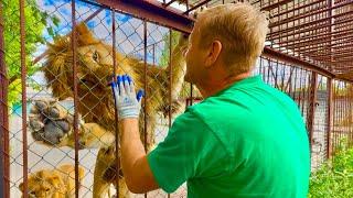 ПОСЛЕДНИЕ НОВОСТИ о ситуации с Олегом Зубковым
