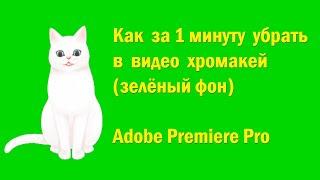 Как за 1 минуту убрать хромакей (зелёный фон) в Adobe Premiere Pro