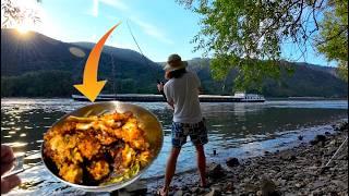 Nachtangeln am Rhein auf Zander und Wels im Hochsommer / Catch and Cook