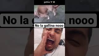 El perro se clavo a la gallina !! #reel #shorts #tiktok #gallina