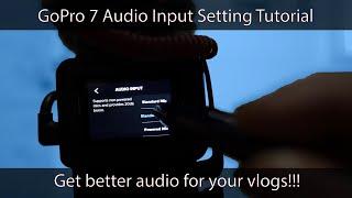 GoPro 7 and GoPro 8 Audio Input Setting Tutorial - Get Better Audio for Your Vlogs