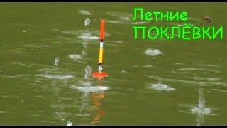  Подборка КРАСИВЫХ ПОКЛЁВОК летом на Поплавок. Fishing angeln la pesca câu cá memancing Fish ประมง