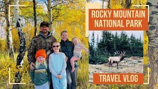 Rocky Mountain National ParkVLOG, Elk & Moose Sightings, Mountains, Nature, Hiking, Travel School