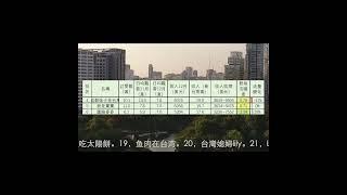 成都妹子在台灣，我是黨黨，圓臉麥麥，中配中生頻道12月收入排行1到12名，蕭蕭在台灣，UU來了，村花嫁台灣，何新瑶，我們倆，陳老師來了，摩沙淺淺，Cianna欣，新住民花花#陸配