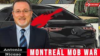 Top Canadian / Italian Mafia Expert Discusses Montreal Mob War