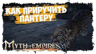 MYTH OF EMPIRES ►  МИНИ-ГАЙД ► КАК ПРИРУЧИТЬ ПАНТЕРУ