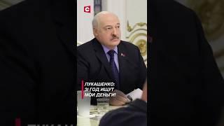 Лукашенко: 31 год ищут мои деньги! #лукашенко #политика #новости #беларусь #shorts