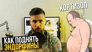 Как понизить Кортизол? Эндорфины и стрессоустойчивость