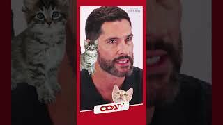 Lucifer'ın yavru kedilerle imtihanı  #shorts