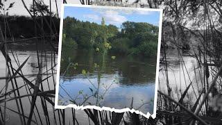  Opening day on the River Severn pursuing barbel