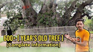 Hatyan Ka Jhad - 600 Year's Old Tree | Hyderabad | Fun With Adnan