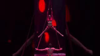 Gold medalists International  Circus Festival 2024