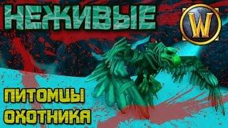 Неживые питомцы Охотника, World of Warcraft