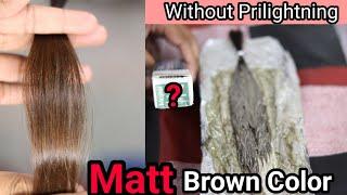 Matt Brown Hair Color Without Prilightning || By Salonfact