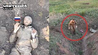 Ukrainian Soldiers captured another Russian POW using a drone. K-2 Battalion