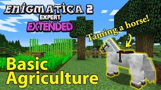 Enigmatica 2 Expert Extended - Taming a Horse, Basic Agriculture [2]