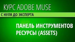 Панель ресурсы (assets) в программе Adobe Muse CC (Курс Adobe Muse CC для чайников)