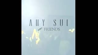 Amy Sue and Friends Band und Akustik Promovideo