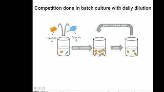 Environmental Modulation of Microbial Community Structure